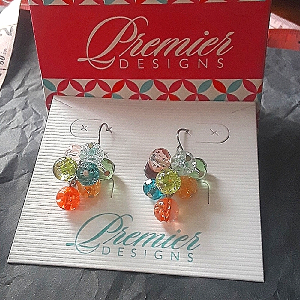 Premier Designs JellyBean Earrings